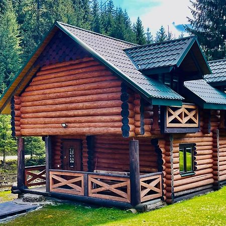 У Віти Котедж4 Synevyrsʼka Polyana 외부 사진