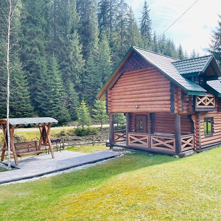 У Віти Котедж4 Synevyrsʼka Polyana 외부 사진